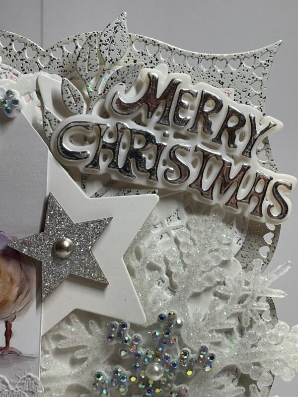 Luxury 6x6" Handmade Christmas Card Topper - Ducks - Snowflakes - Stars - Image 4